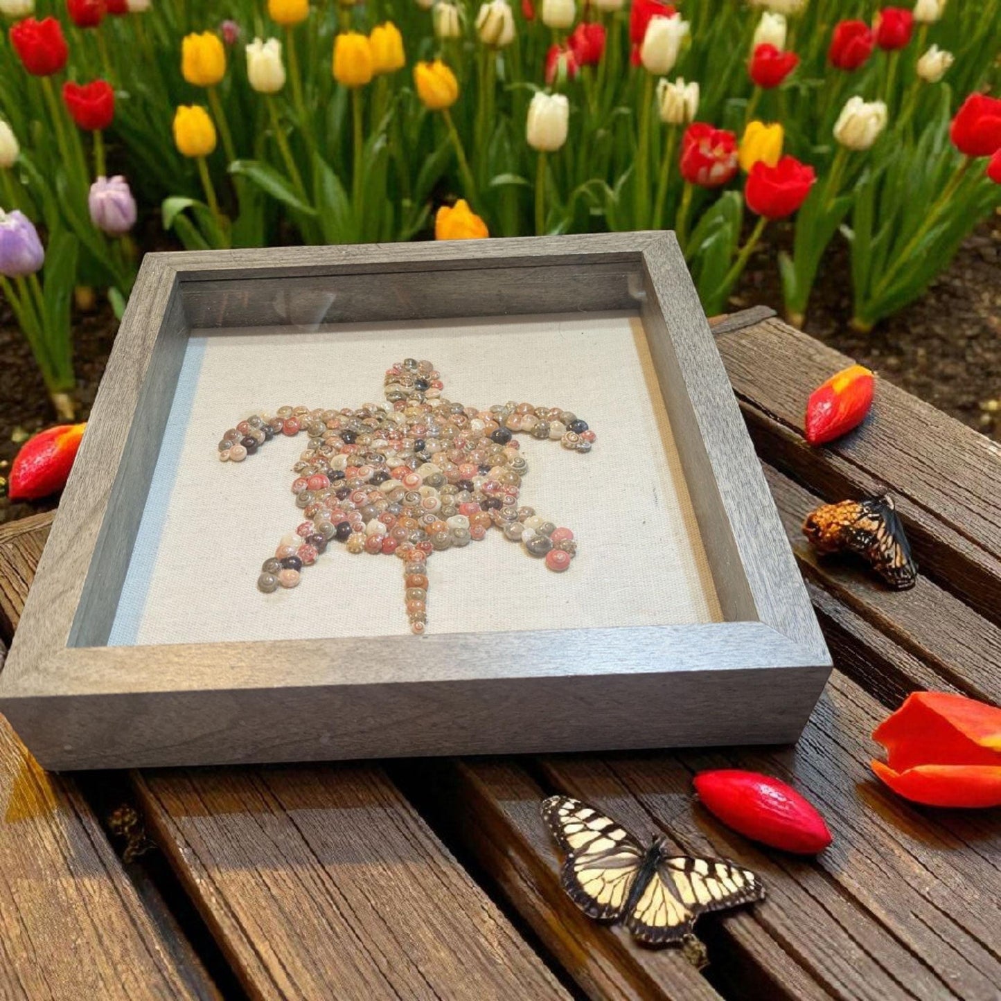 Handcrafted Shell Art – Framed Shadowbox with Natural Textures | Earthy Home Decor | Coastal Wall Art | Unique Handmade Beach Accent